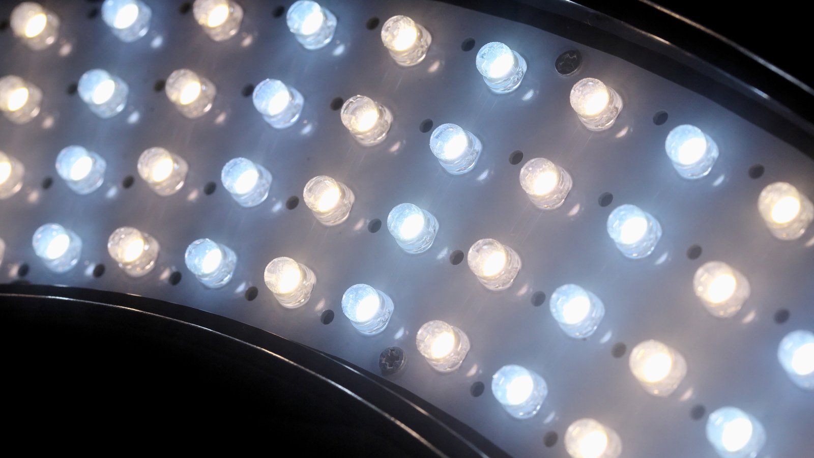 Es sind insgesamt 320 LEDs im Ringlicht verbaut.