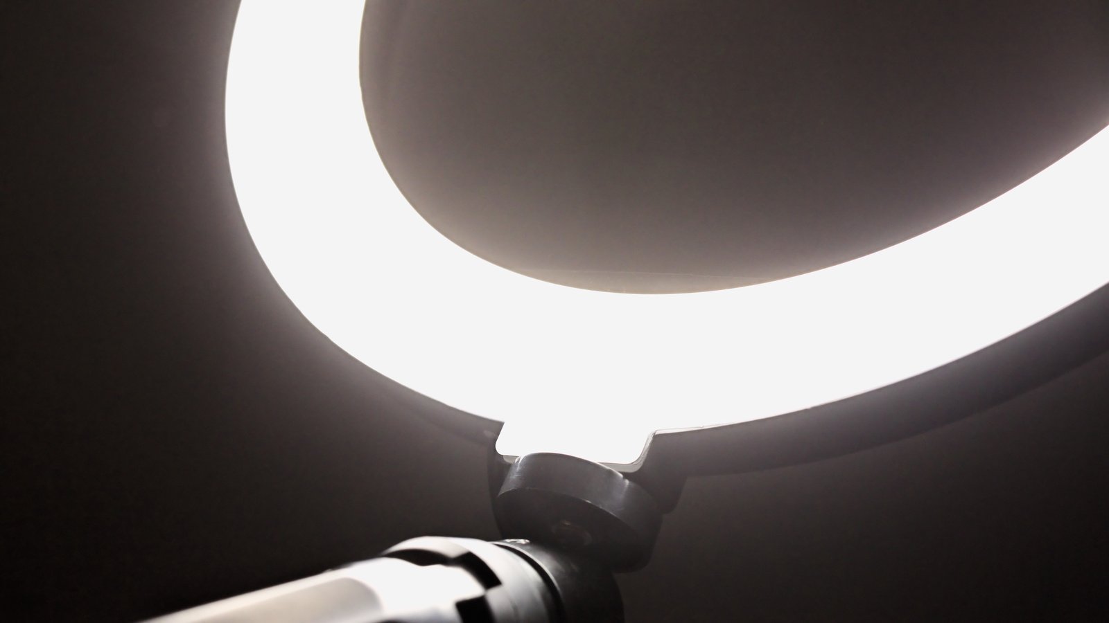 Das LED Ringlicht macht ein sehr weiches, diffuses Licht. Ideal für Portraitaufnahmen